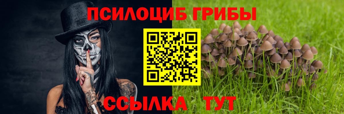 цена   Вход с VPN  Альметьевск  Галлюциногенные грибы MAGIC MUSHROOMS  Псилоцибиновые грибы MAGIC MUSHROOMS 